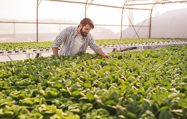 Granjero que se preocupa por las plantas en el invernadero