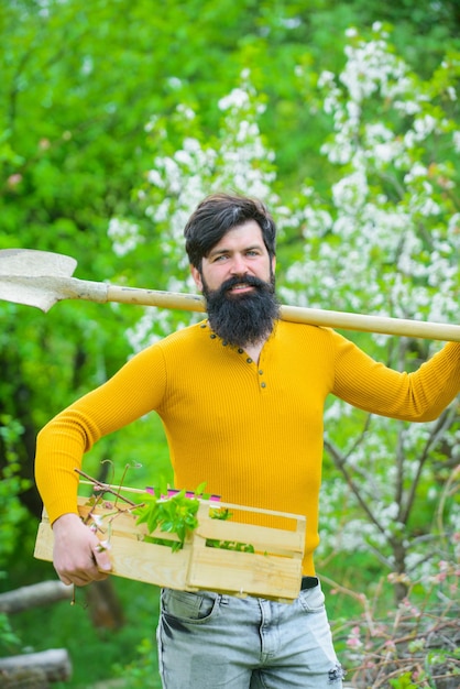 Granjero que trabaja en el jardín jardinero plantas de trabajo jardinería jardinero barbudo con herramientas de jardinería trabajo