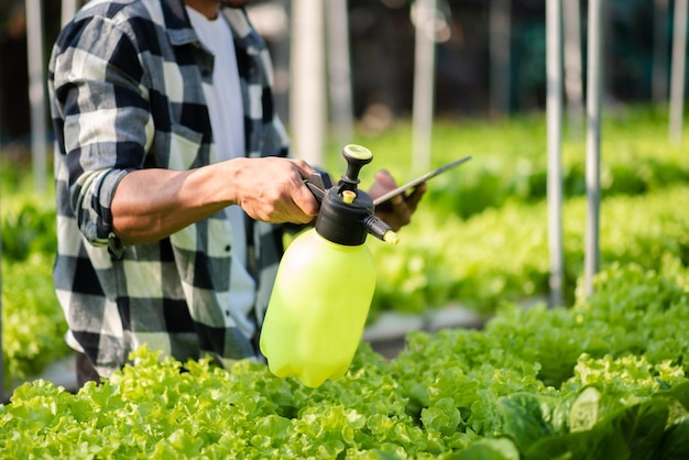 Granjero que usa una tableta digital en la aplicación de tecnología de campo en la actividad de cultivo agrícola