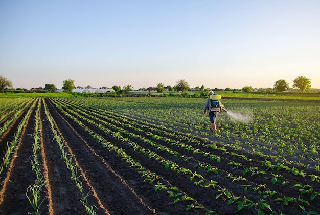 Granjero rocía una plantación de papa con un rociador Protección efectiva de cultivos de plantas cultivadas