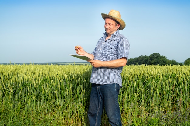 Granjero senior escribe un plan para cultivar trigo en el campo. La idea de cuidar una plantación para una buena cosecha.