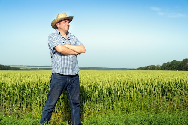 Granjero senior de pie en un campo de trigo examinando la cosecha en un día soleado Idea de cuidado de plantación