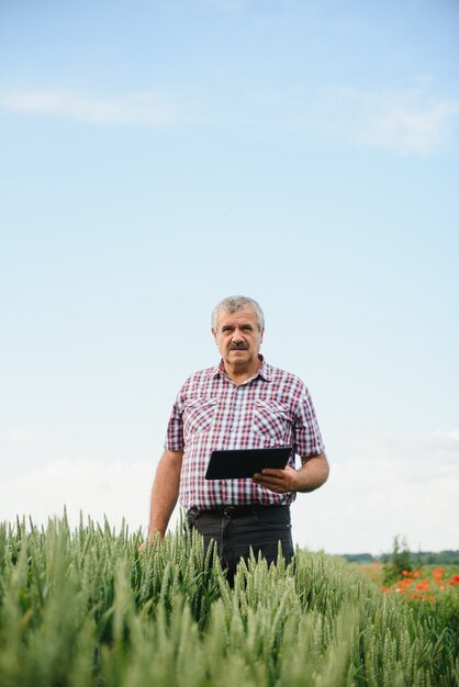 Granjero Senior de pie en el campo de trigo con tableta