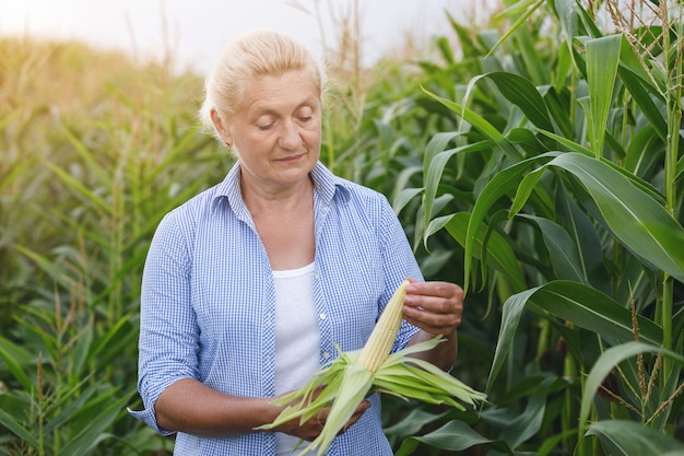 Foto granjero de sexo femenino en el campo que controla las plantas de maíz durante un día soleado de verano