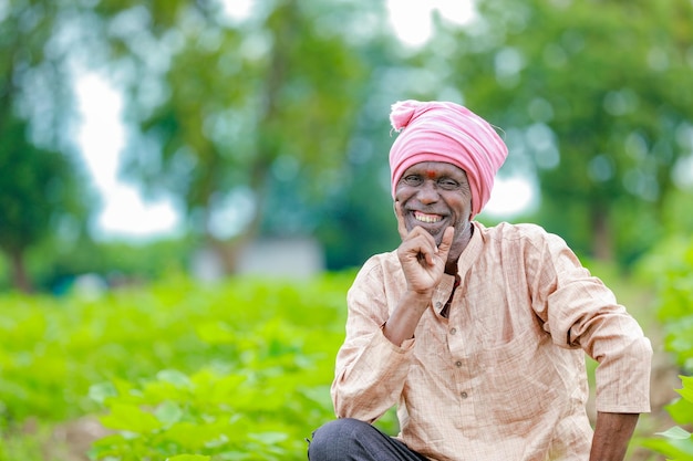 Granjero sosteniendo un árbol de algodón en un campo de algodón árbol de algodón sosteniendo Leaf en India