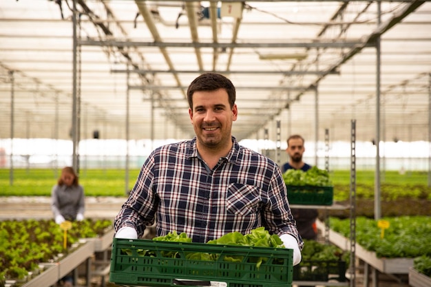 Granjero sosteniendo una caja con ensalada en invernadero. En la parte de atrás están sus compañeros que trabajan