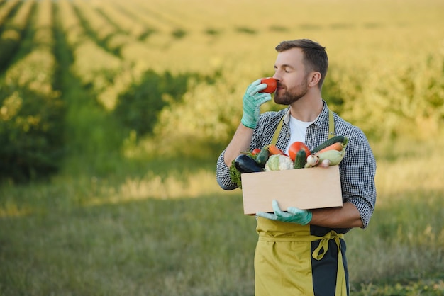 Granjero sosteniendo una caja de verduras biológicas en la granja Hombre feliz mostrando una caja de verduras cosechadas