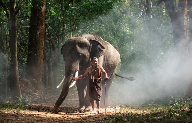 Granjero tailandés caminando con el elefante en la selva