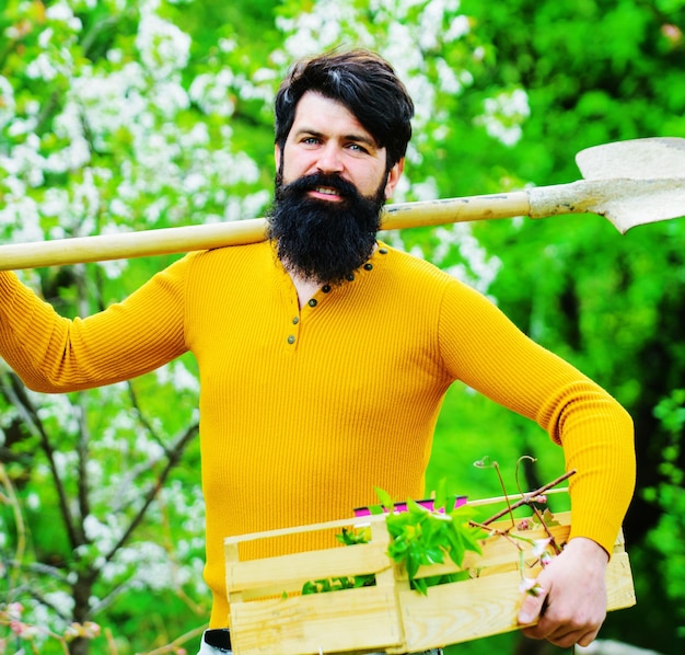 Granjero trabaja en el jardín jardinero con herramientas de jardinería hombre barbudo sonriente con caja de madera y pala