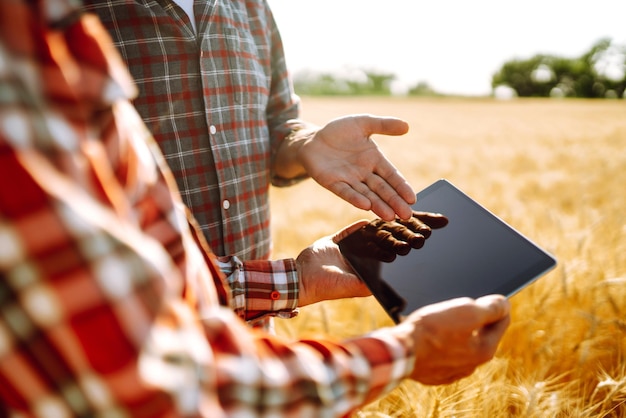 Foto granjeros con una tableta en sus manos en un campo de trigo