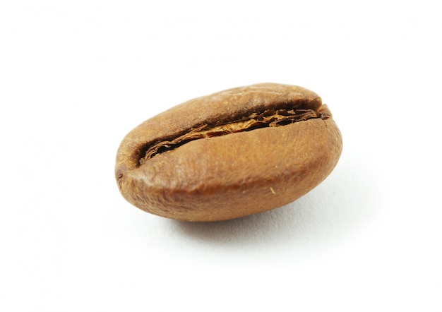 Grano de café aislado