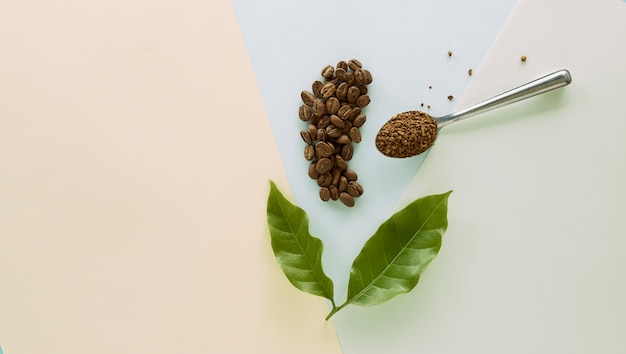 Grano de café y café granulado con hoja de café