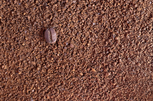 Un grano de café sobre un fondo de café molido, café en polvo