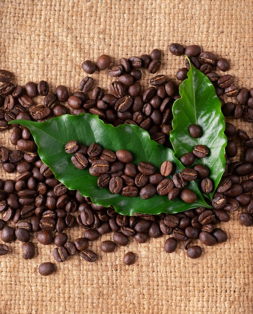 Foto grano de café tostado en bolsa de linin