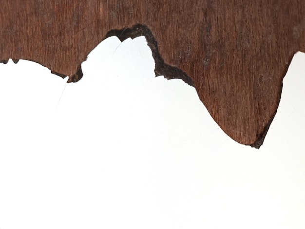 grano de madera agrietado en la mesa fondo blanco