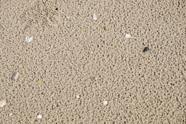 Grano marrón en la playa