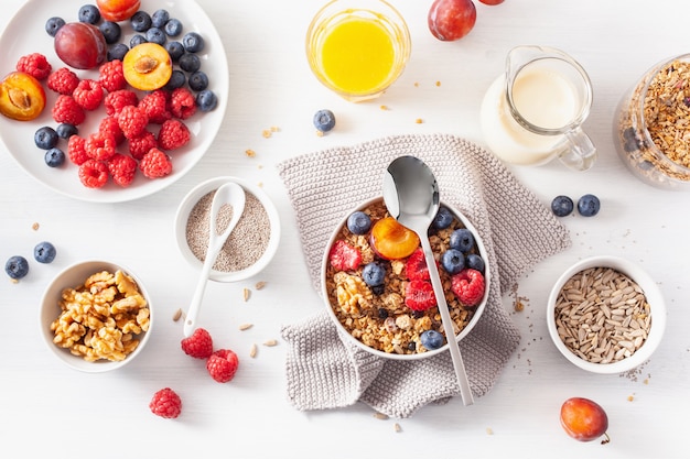 Granola saudável no café da manhã com frutos silvestres, leite vegan