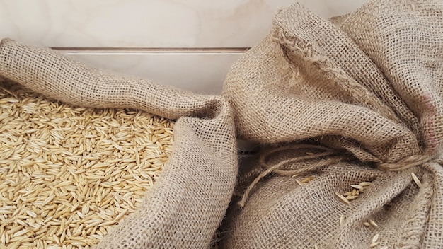 Granos de avena en saco de arpillera, primer plano. Granos de malta o trigo. Concepto de alimentación y agricultura.