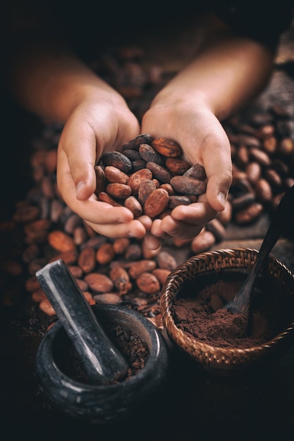 Granos de cacao aromáticos