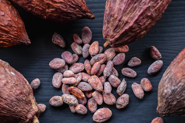 Granos de cacao y cacao seco de cerca