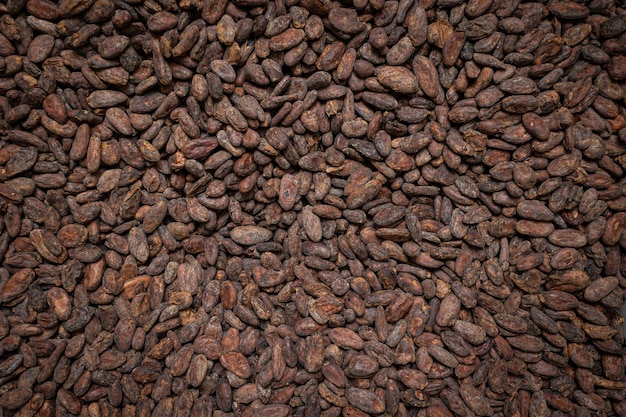 granos de cacao como fondo. productos de cacao