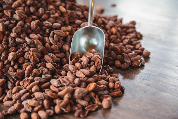 Granos de cacao crudo en una mesa de madera