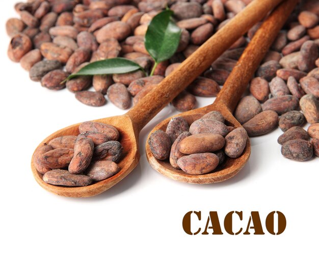 Granos de cacao en cucharas de madera con hojas aisladas en blanco
