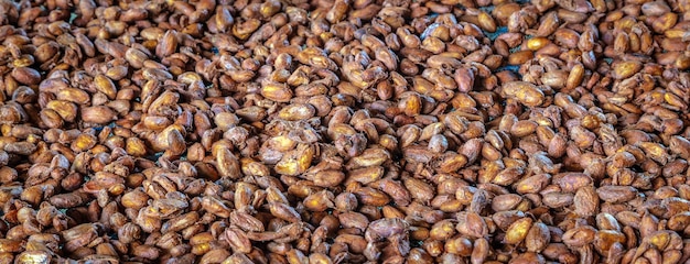 Los granos de cacao fermentados frescos se secan al sol para hacer chocolateVista superior