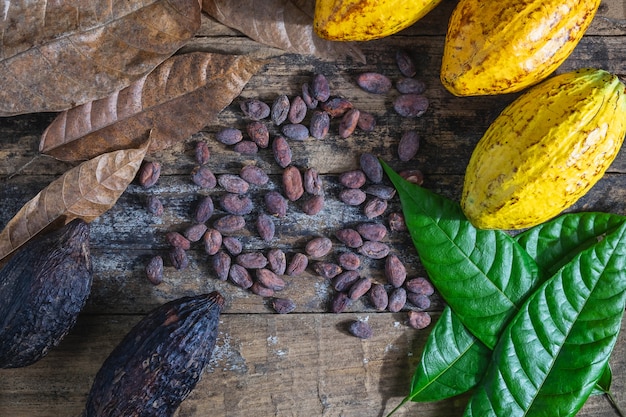 Granos de cacao fresco y cacao sobre un fondo de madera