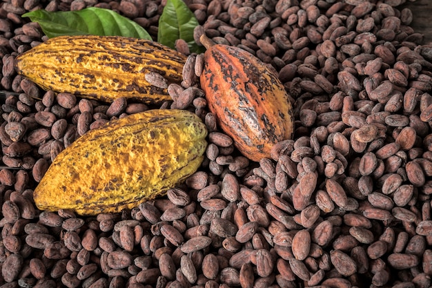 Foto granos de cacao y frutas de cacao en madera