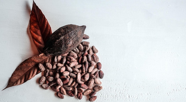 Granos de cacao marrones vainas de cacao marrones y frutos secos de cacao con hojas sobre un fondo blanco de madera