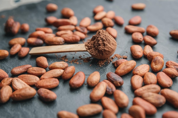 Granos de cacao orgánico, cacao en polvo en una cuchara de madera y chocolate sobre un fondo de piedra negra