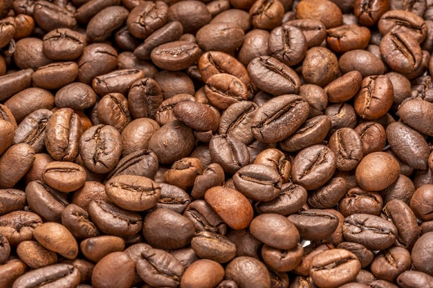 Foto granos de cacao en placa de madera, aromáticos, granos de cacao tostados en fondo de madera.