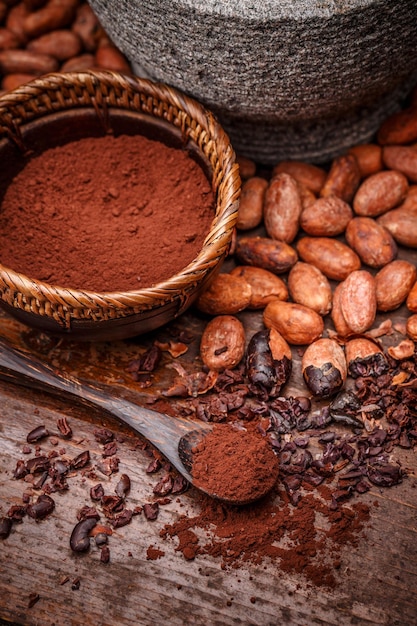 Granos de cacao y polvo de cacao