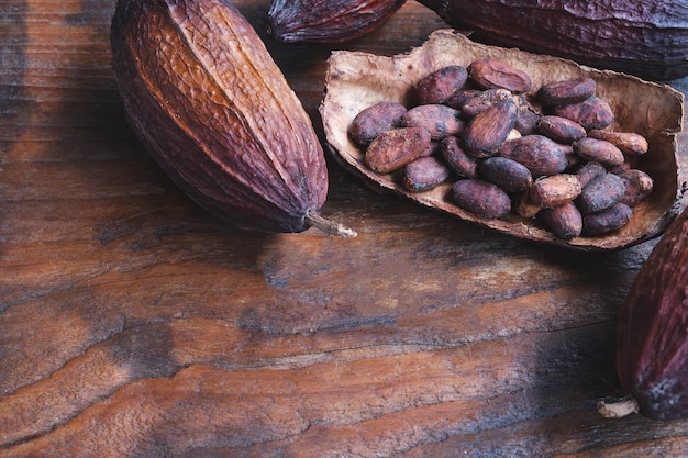 Granos de cacao secos y granos de cacao secos