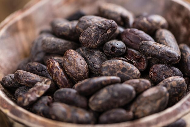 Granos De Cacao Tostados