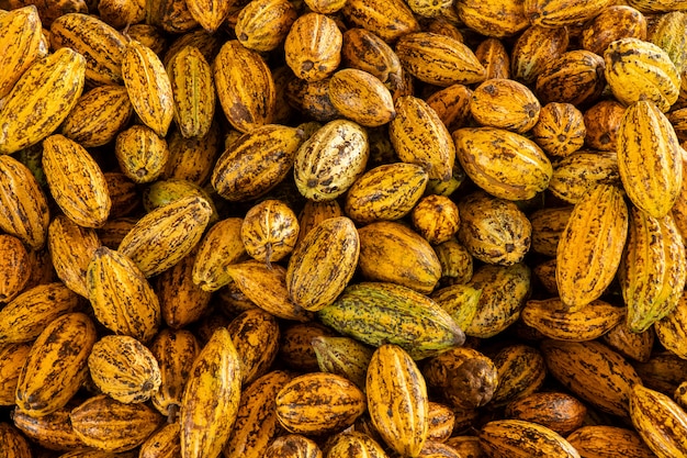 Granos de cacao y vaina de cacao sobre una superficie de madera