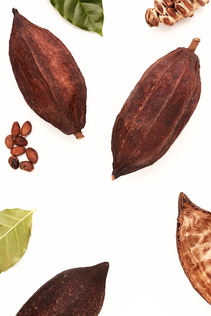 Foto granos de cacao en vainas sobre un fondo blanco.