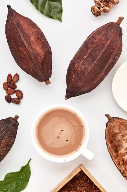 Granos de cacao en vainas sobre un fondo blanco.