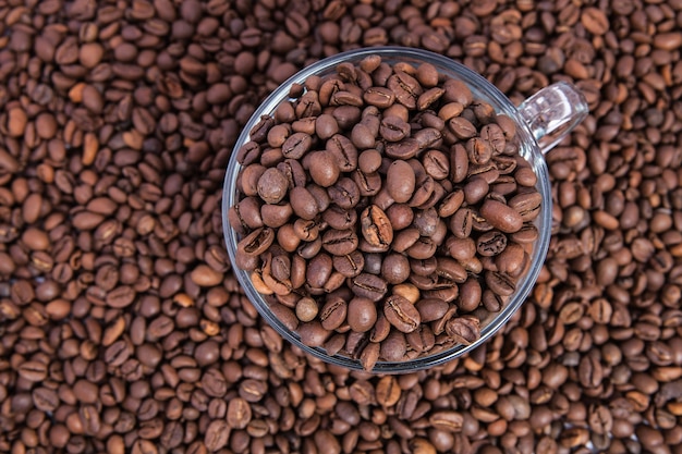 Granos de café arábica tostados como papel tapiz de fondo