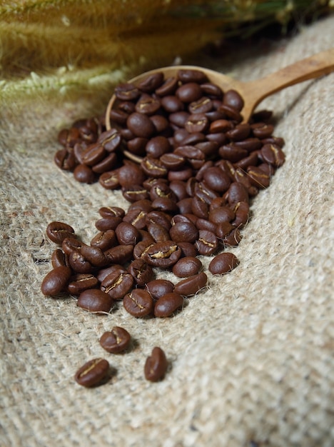 Foto granos de café en cuchara de madera de cilicio