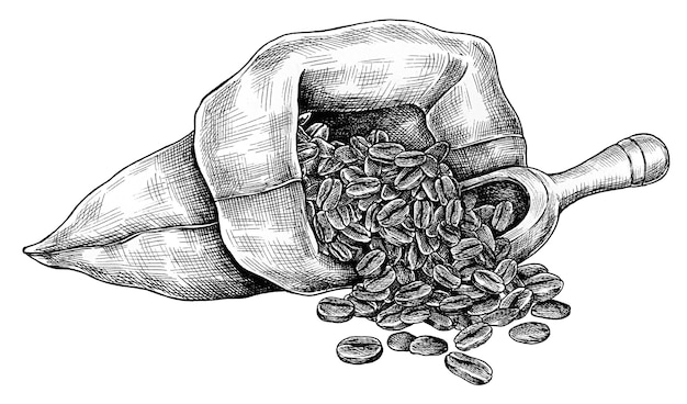 Granos de café dibujados a mano en una bolsa transparente png