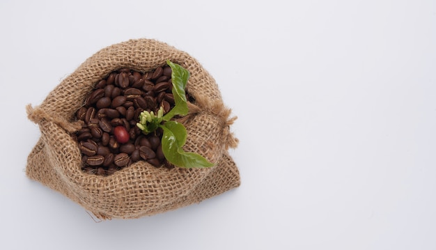 Granos de café, flor de café y hojas verdes en bolsa de saco de cáñamo aislado en blanco