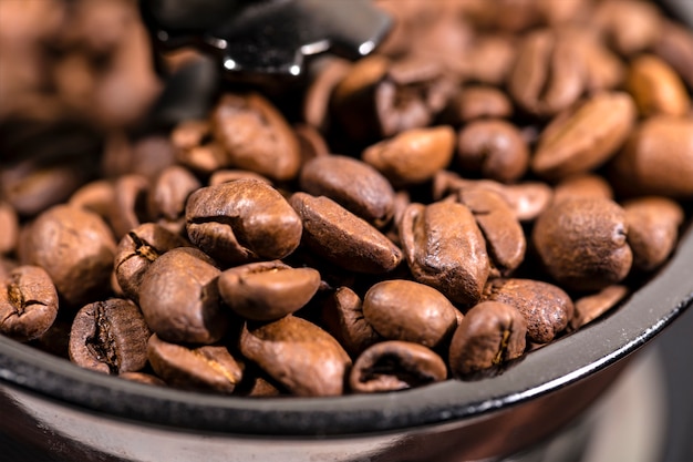 Los granos de café fritos se encuentran en un molinillo de café. El café árabe se reza en un molinillo de café mecánico. Cafe mañanero.