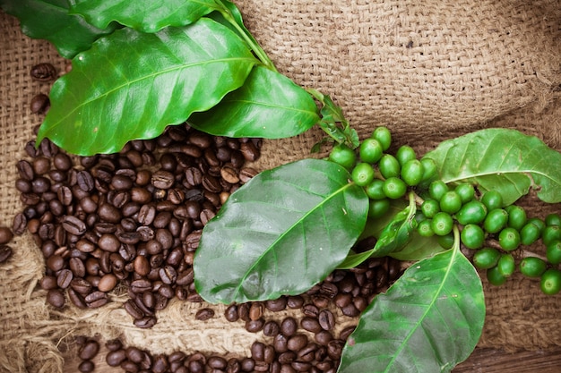 granos de café y hojas sobre fondo de madera