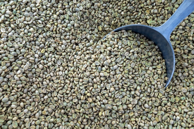 Los granos de café no han sido tostados. vista superior
