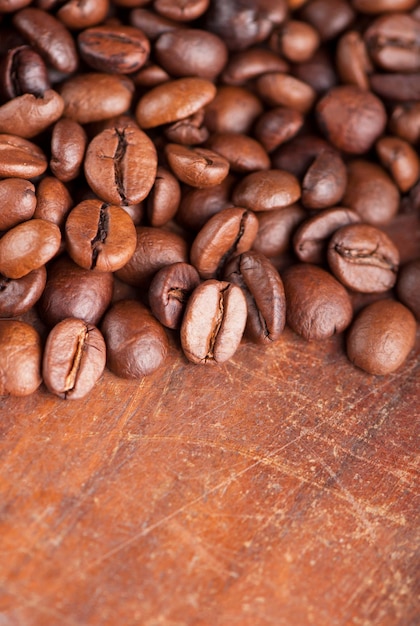 Granos de café Primer plano de granos de café con enfoque