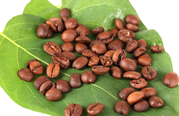 Granos de café en primer plano de hoja verde