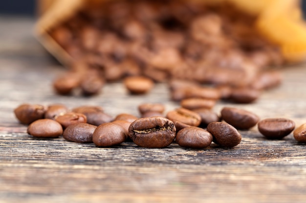 Granos de café para la producción de un delicioso café, aromáticos granos de café en forma cruda o tostada