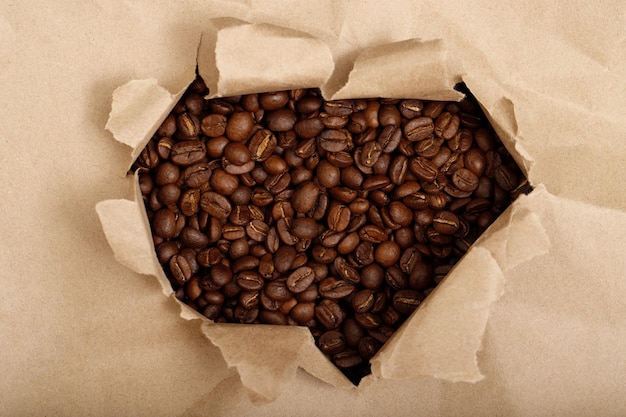 Granos de café recién tostados en una taza